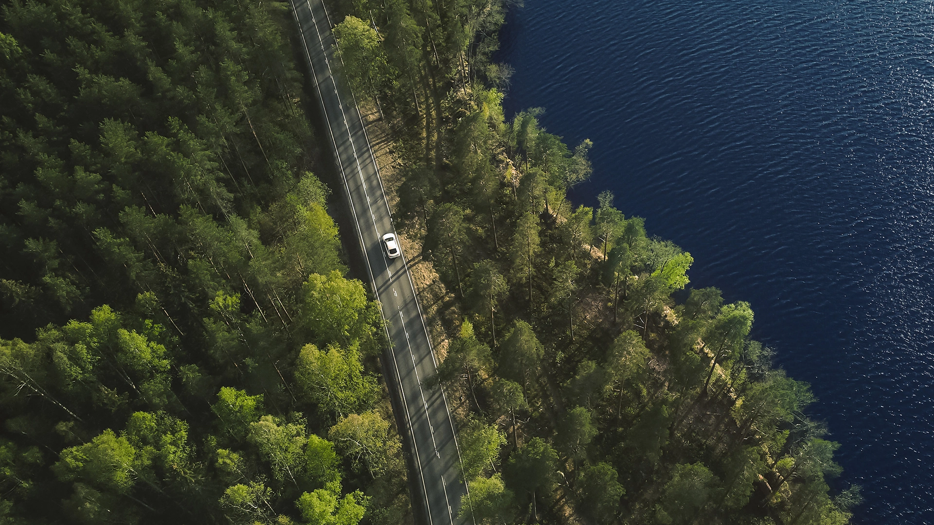 Mets ja meri plevalt vaates